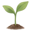 Drawing of a young sprout